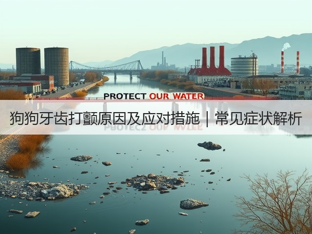 狗狗牙齿打颤原因及应对措施|常见症状解析(图3) 狗狗牙齿打颤原因及应对措施|常见症状解析(图3)