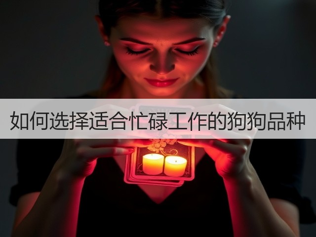 如何选择适合忙碌工作的狗狗品种(图3) 如何选择适合忙碌工作的狗狗品种(图3)