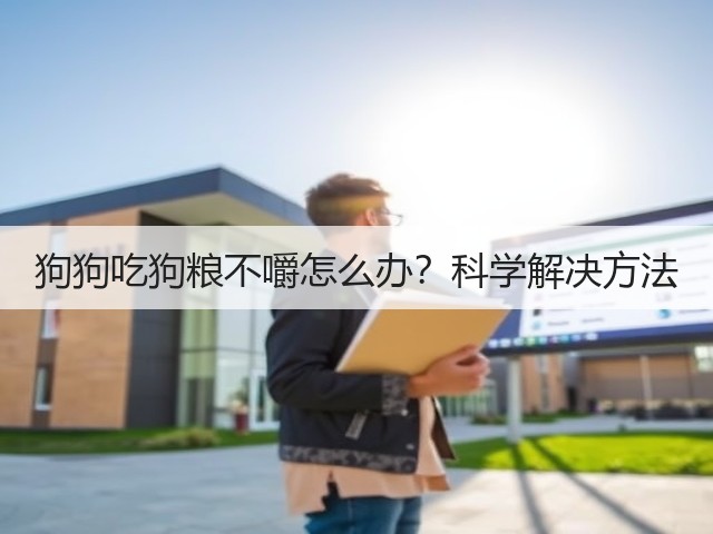 狗狗吃狗粮不嚼怎么办?科学解决方法(图3) 狗狗吃狗粮不嚼怎么办?科学解决方法(图3)