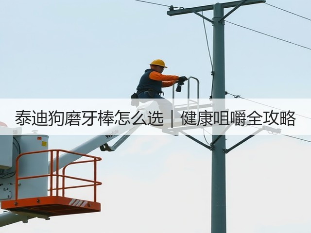 泰迪狗磨牙棒怎么选｜健康咀嚼全攻略(图2)