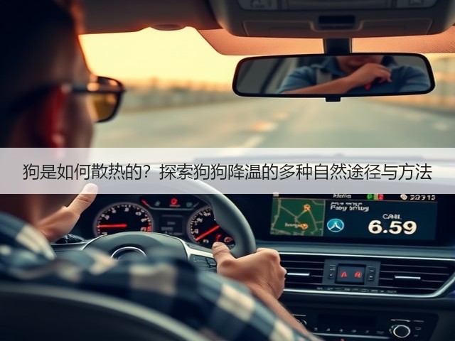 狗是如何散热的?探索狗狗降温的多种自然途径与方法(图1) 狗是如何散热的?探索狗狗降温的多种自然途径与方法(图1)