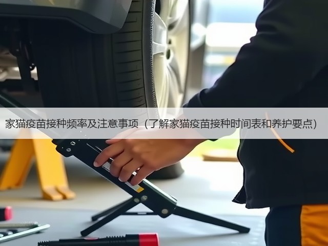 家猫疫苗接种频率及注意事项(了解家猫疫苗接种时间表和养护要点)(图3) 家猫疫苗接种频率及注意事项(了解家猫疫苗接种时间表和养护要点)(图3)