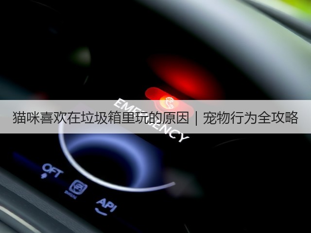 猫咪喜欢在垃圾箱里玩的原因|宠物行为全攻略(图1) 猫咪喜欢在垃圾箱里玩的原因|宠物行为全攻略(图1)