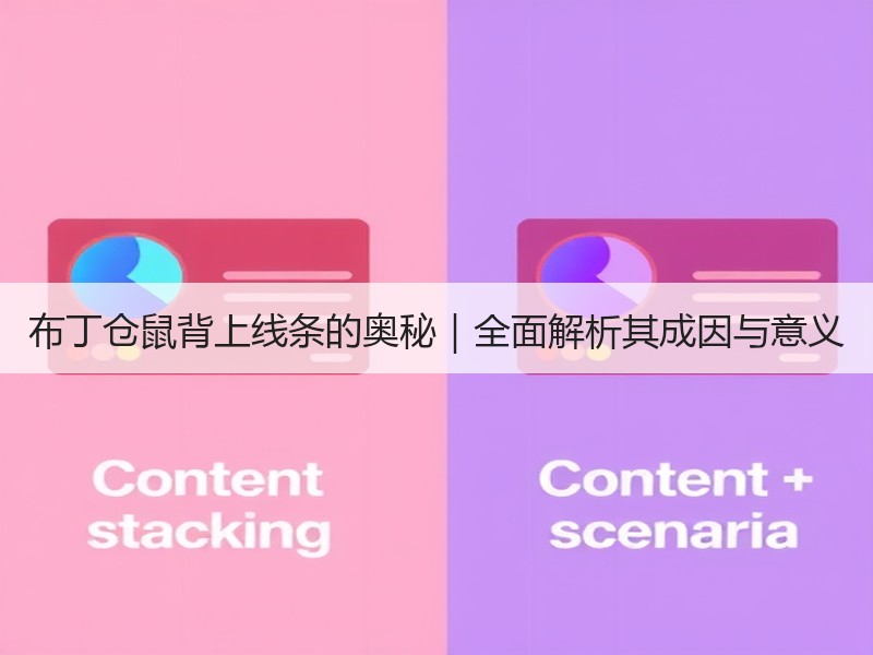 布丁仓鼠背上线条的奥秘｜全面解析其成因与意义