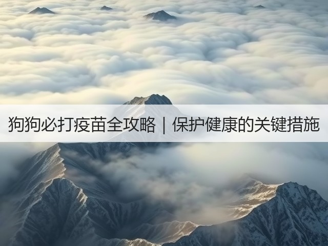狗狗必打疫苗全攻略|保护健康的关键措施(图2) 狗狗必打疫苗全攻略|保护健康的关键措施(图2)