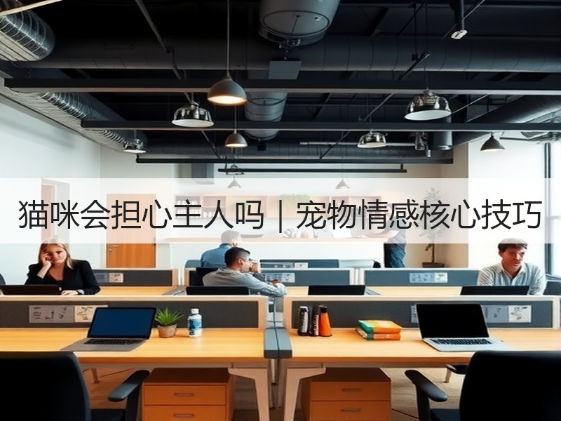 猫咪会担心主人吗｜宠物情感核心技巧