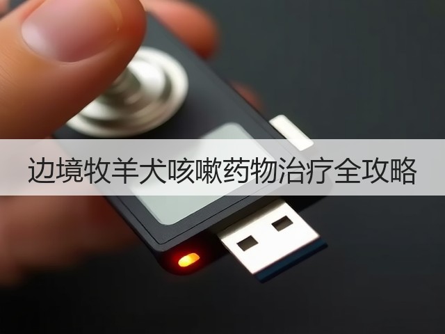 边境牧羊犬咳嗽药物治疗全攻略(图1) 边境牧羊犬咳嗽药物治疗全攻略(图1)