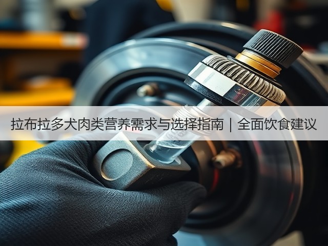 拉布拉多犬肉类营养需求与选择指南|全面饮食建议(图3) 拉布拉多犬肉类营养需求与选择指南|全面饮食建议(图3)