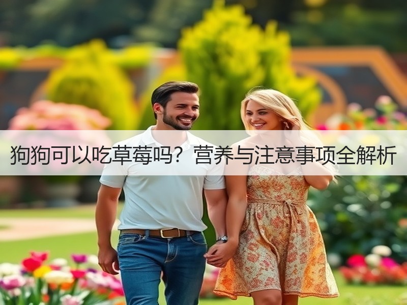 狗狗可以吃草莓吗？营养与注意事项全解析