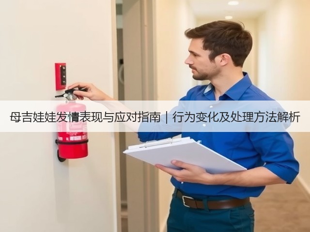 母吉娃娃发情表现与应对指南|行为变化及处理方法解析(图1) 母吉娃娃发情表现与应对指南|行为变化及处理方法解析(图1)