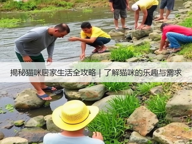揭秘猫咪居家生活全攻略｜了解猫咪的乐趣与需求(图2)