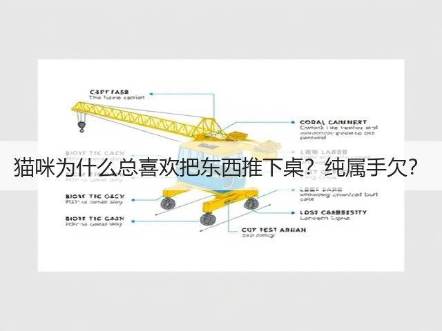 猫咪为什么总喜欢把东西推下桌?纯属手欠?(图1) 猫咪为什么总喜欢把东西推下桌?纯属手欠?(图1)