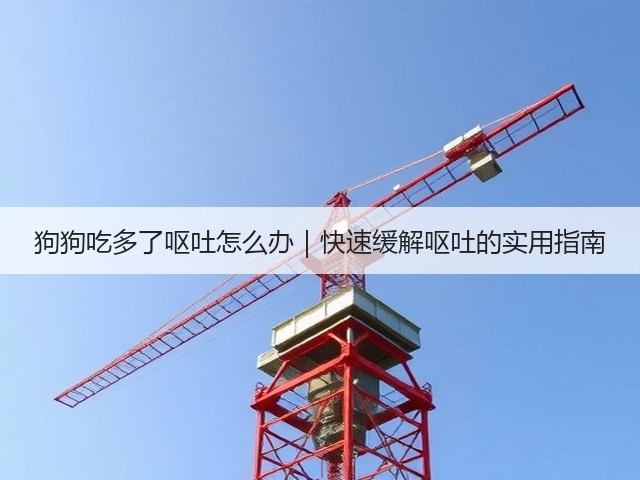 狗狗吃多了呕吐怎么办|快速缓解呕吐的实用指南(图3) 狗狗吃多了呕吐怎么办|快速缓解呕吐的实用指南(图3)