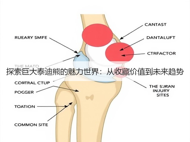 探索巨大泰迪熊的魅力世界:从收藏价值到未来趋势(图1) 探索巨大泰迪熊的魅力世界:从收藏价值到未来趋势(图1)