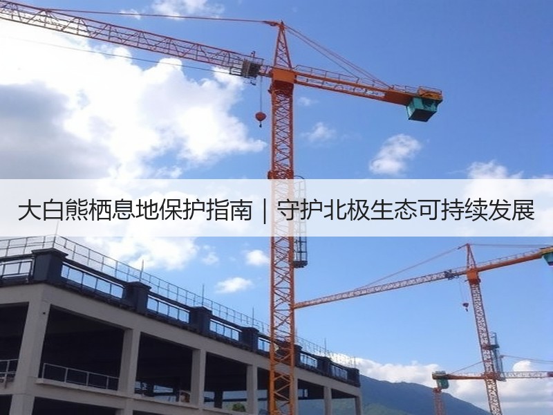 大白熊栖息地保护指南｜守护北极生态可持续发展