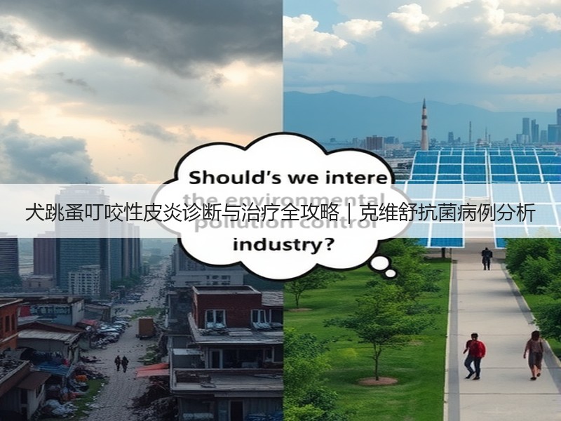 犬跳蚤叮咬性皮炎诊断与治疗全攻略｜克维舒抗菌病例分析