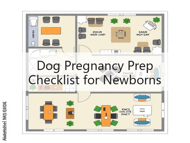Dog Pregnancy Prep Checklist for Newborns(图2) Dog Pregnancy Prep Checklist for Newborns(图2)