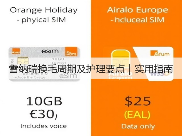 雪纳瑞换毛周期及护理要点|实用指南(图3) 雪纳瑞换毛周期及护理要点|实用指南(图3)