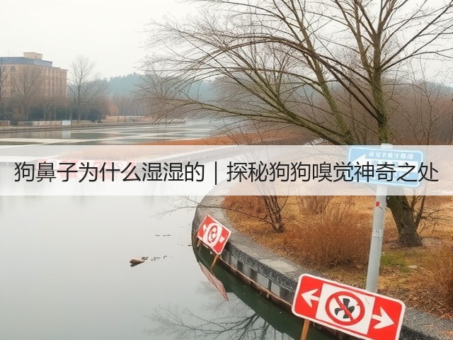 狗鼻子为什么湿湿的|探秘狗狗嗅觉神奇之处(图1) 狗鼻子为什么湿湿的|探秘狗狗嗅觉神奇之处(图1)