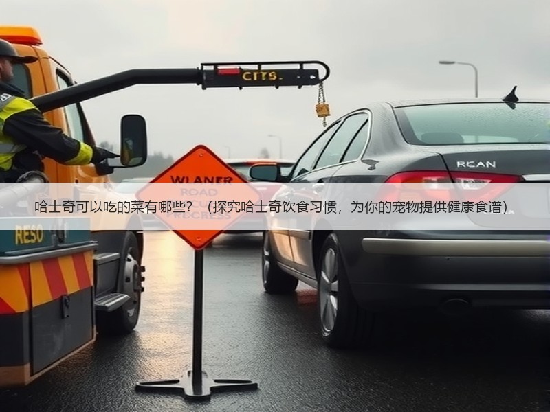 哈士奇可以吃的菜有哪些？（探究哈士奇饮食习惯，为你的宠物提供健康食谱）