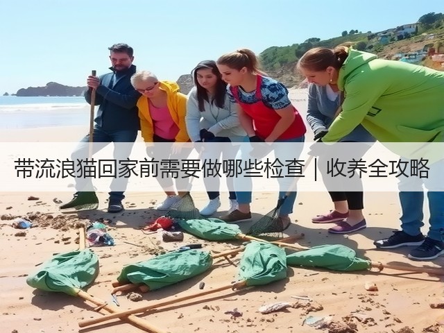 带流浪猫回家前需要做哪些检查|收养全攻略(图2) 带流浪猫回家前需要做哪些检查|收养全攻略(图2)