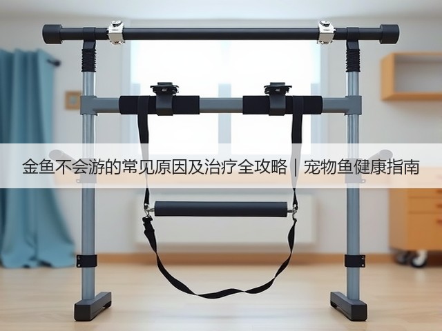 金鱼不会游的常见原因及治疗全攻略|宠物鱼健康指南(图3) 金鱼不会游的常见原因及治疗全攻略|宠物鱼健康指南(图3)