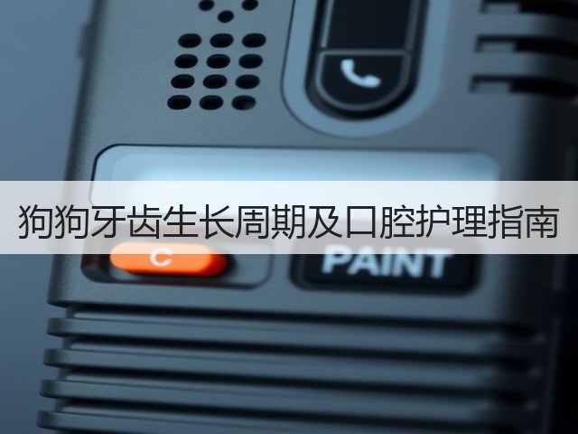 狗狗牙齿生长周期及口腔护理指南(图1) 狗狗牙齿生长周期及口腔护理指南(图1)