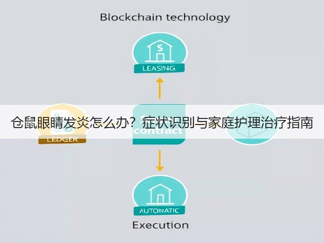 仓鼠眼睛发炎怎么办?症状识别与家庭护理治疗指南(图3) 仓鼠眼睛发炎怎么办?症状识别与家庭护理治疗指南(图3)