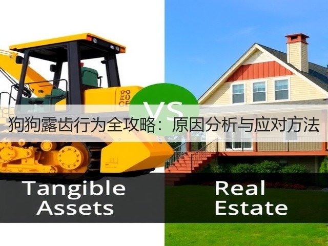 狗狗露齿行为全攻略:原因分析与应对方法(图1) 狗狗露齿行为全攻略:原因分析与应对方法(图1)
