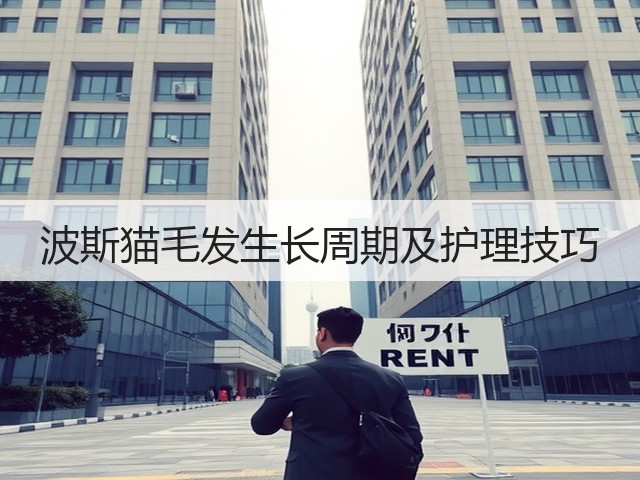 波斯猫毛发生长周期及护理技巧(图2)