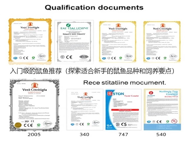 入门级的鼠鱼推荐（探索适合新手的鼠鱼品种和饲养要点）(图3)