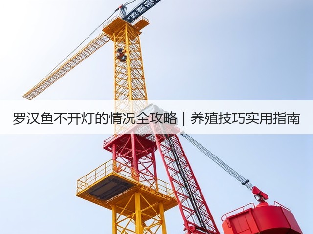 罗汉鱼不开灯的情况全攻略|养殖技巧实用指南(图3) 罗汉鱼不开灯的情况全攻略|养殖技巧实用指南(图3)