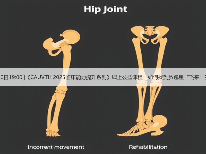 12月30日19:00 |《CAUVTH 2025临床能力提升系列》线上公益课程