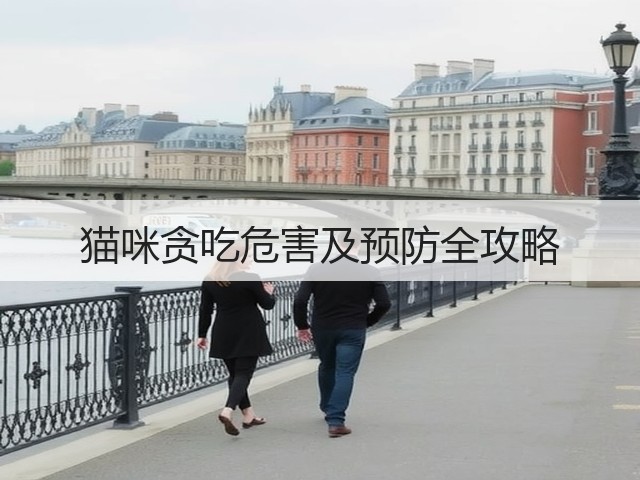 猫咪贪吃危害及预防全攻略(图2) 猫咪贪吃危害及预防全攻略(图2)