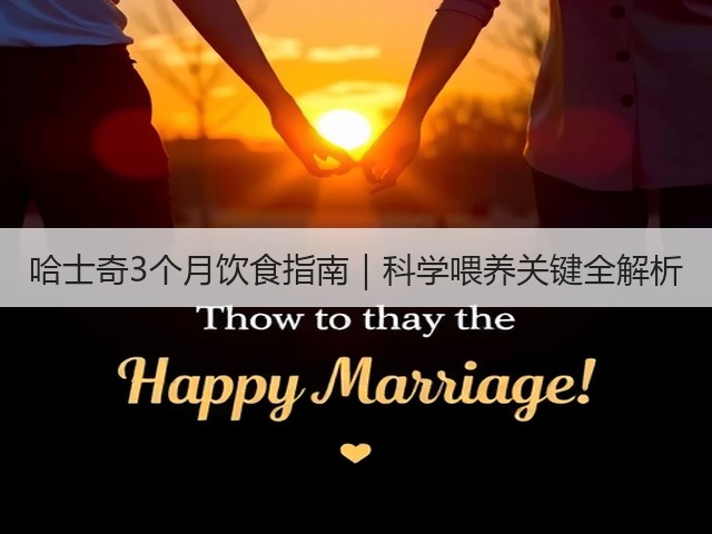 哈士奇3个月饮食指南｜科学喂养关键全解析(图2)