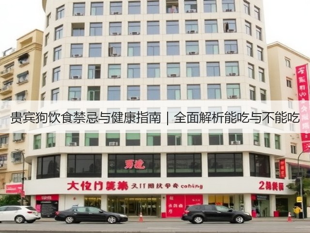 贵宾狗饮食禁忌与健康指南|全面解析能吃与不能吃(图2) 贵宾狗饮食禁忌与健康指南|全面解析能吃与不能吃(图2)