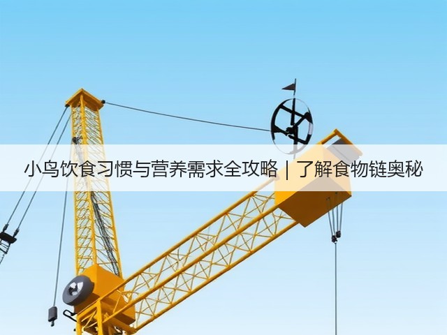 小鸟饮食习惯与营养需求全攻略|了解食物链奥秘(图2) 小鸟饮食习惯与营养需求全攻略|了解食物链奥秘(图2)