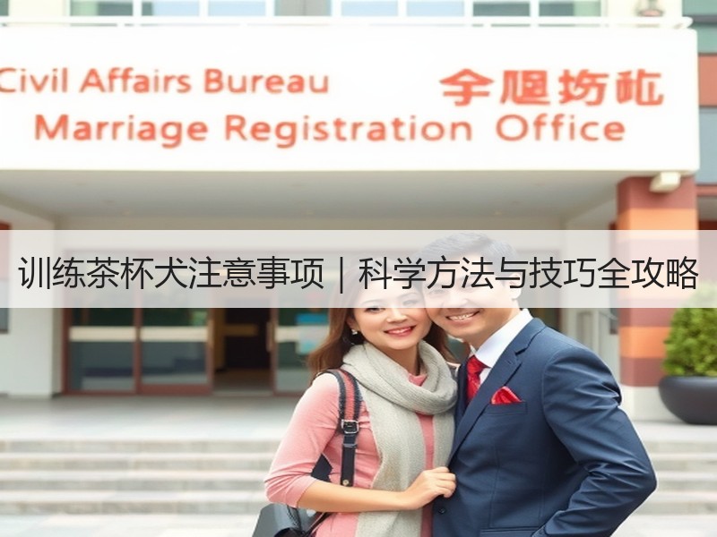 训练茶杯犬注意事项｜科学方法与技巧全攻略