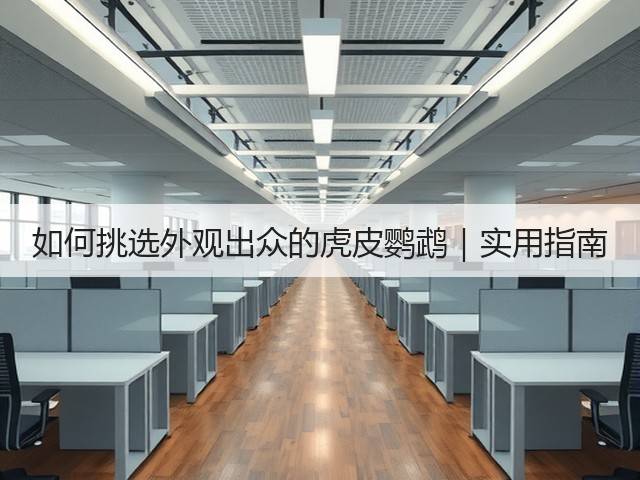 如何挑选外观出众的虎皮鹦鹉|实用指南(图3) 如何挑选外观出众的虎皮鹦鹉|实用指南(图3)