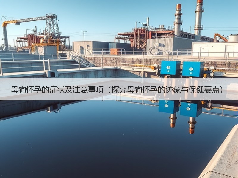 母狗怀孕的症状及注意事项（探究母狗怀孕的迹象与保健要点）