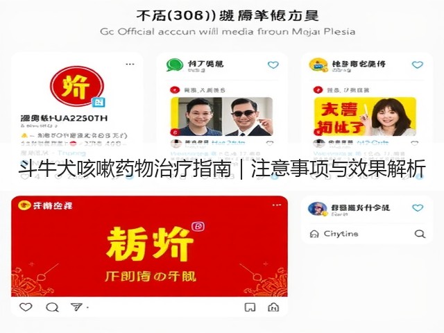 斗牛犬咳嗽药物治疗指南|注意事项与效果解析(图2) 斗牛犬咳嗽药物治疗指南|注意事项与效果解析(图2)