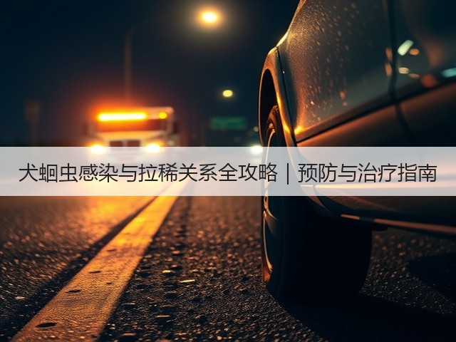 犬蛔虫感染与拉稀关系全攻略｜预防与治疗指南(图2)
