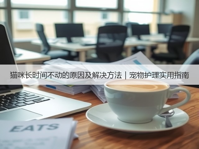 猫咪长时间不动的原因及解决方法|宠物护理实用指南(图3) 猫咪长时间不动的原因及解决方法|宠物护理实用指南(图3)