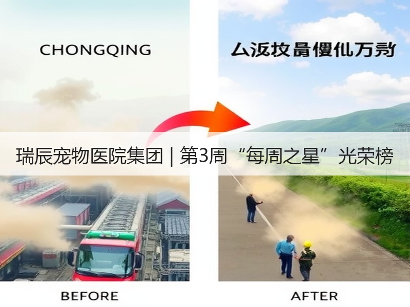瑞辰宠物医院集团 | 第3周“每周之星”光荣榜