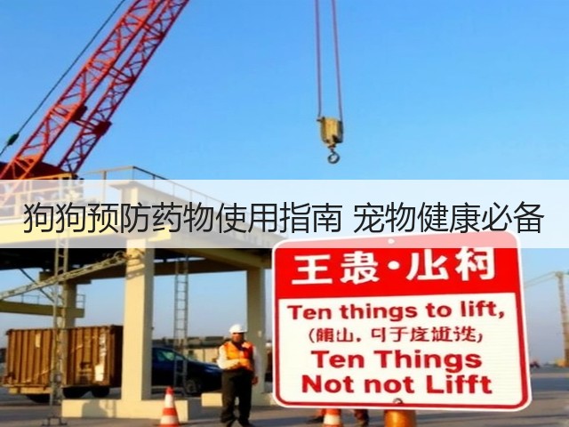 狗狗预防药物使用指南 宠物健康必备(图2) 狗狗预防药物使用指南 宠物健康必备(图2)