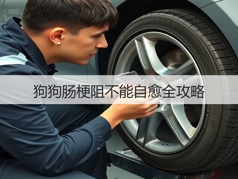 狗狗肠梗阻不能自愈全攻略
