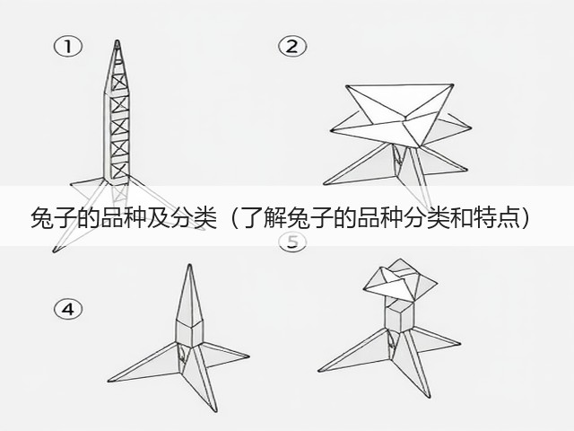 兔子的品种及分类(了解兔子的品种分类和特点)(图1) 兔子的品种及分类(了解兔子的品种分类和特点)(图1)
