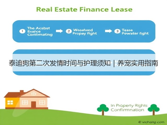 泰迪狗第二次发情时间与护理须知｜养宠实用指南(图2)