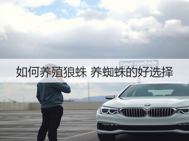 如何养殖狼蛛 养蜘蛛的好选择(图3) 如何养殖狼蛛 养蜘蛛的好选择(图3)