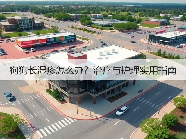 狗狗长湿疹怎么办?治疗与护理实用指南(图1) 狗狗长湿疹怎么办?治疗与护理实用指南(图1)